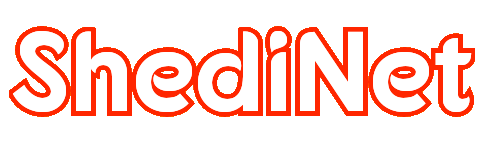 ShediNet Name Logo